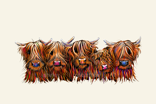 THe HaiRY BuNCH of CooS on CReaM - FRoM £7.99
