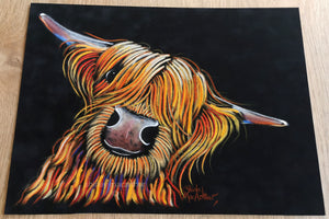 ORiGiNaL HiGHLaND CoW PaSTeL PaiNTiNG ' A Wee DRaM ‘