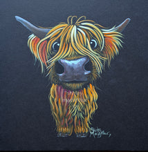 ORiGiNaL HiGHLaND CoW WaTeRCoLouR PaiNTiNG ' Bertie ‘ by SHiRLeY MacARTHuR
