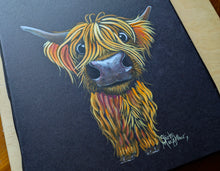 ORiGiNaL HiGHLaND CoW WaTeRCoLouR PaiNTiNG ' Bertie ‘ by SHiRLeY MacARTHuR