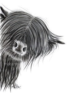 CHaRCoaL ORiGiNaLS!  HiGHLaND CoW PaiNTiNG - No 27
