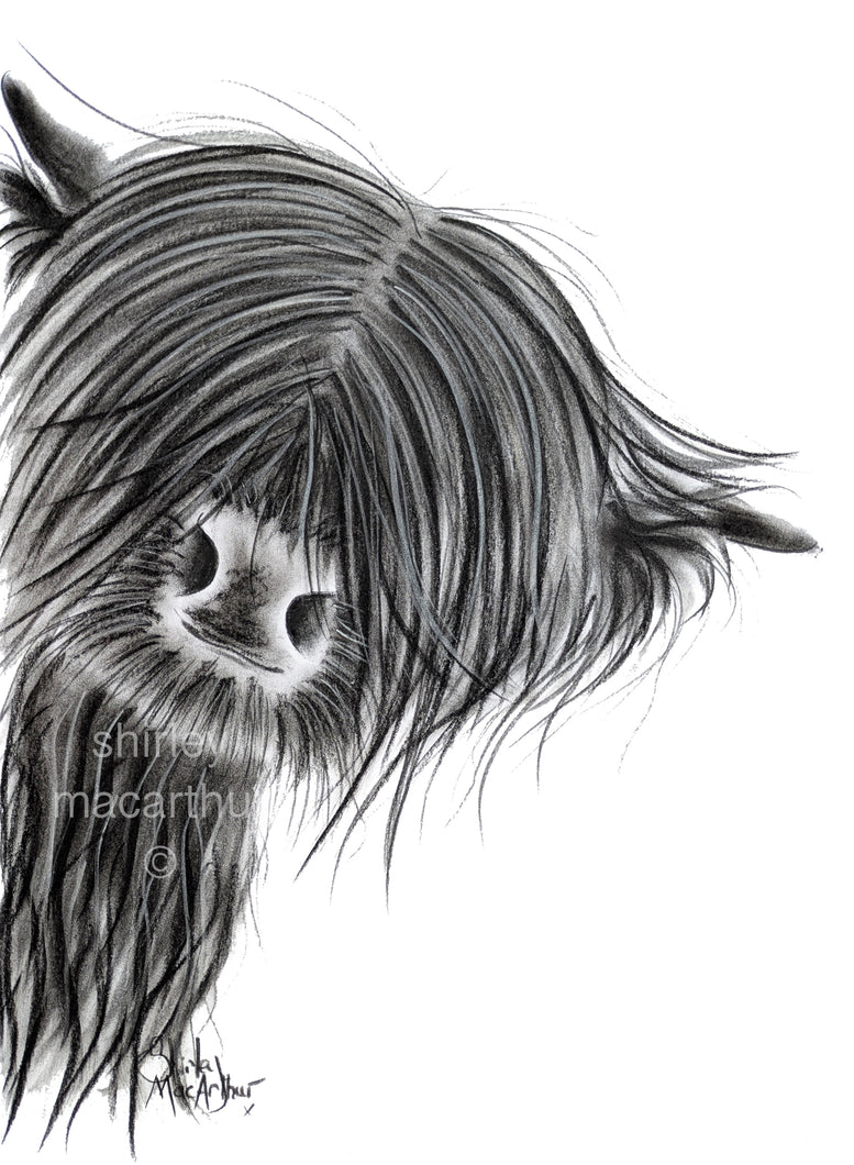 CHaRCoaL ORiGiNaLS!  HiGHLaND CoW PaiNTiNG - No 27