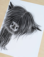 CHaRCoaL ORiGiNaLS!  HiGHLaND CoW PaiNTiNG - No 27