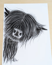 CHaRCoaL ORiGiNaLS!  HiGHLaND CoW PaiNTiNG - No 27
