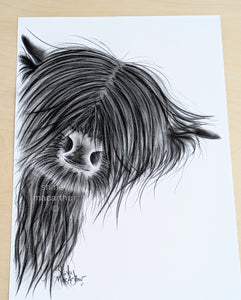 CHaRCoaL ORiGiNaLS!  HiGHLaND CoW PaiNTiNG - No 27