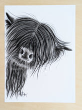 CHaRCoaL ORiGiNaLS!  HiGHLaND CoW PaiNTiNG - No 27
