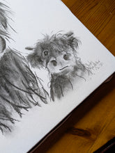 CHaRCoaL ORiGiNaLS!  HiGHLaND CoW PaiNTiNG - No 30