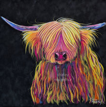 ORiGiNaL HiGHLaND CoW Pastel PaiNTiNG ' Chief ‘ by SHiRLeY MacARTHuR