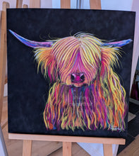ORiGiNaL HiGHLaND CoW Pastel PaiNTiNG ' Chief ‘ by SHiRLeY MacARTHuR
