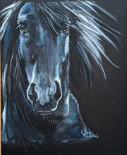Original Black Friesian Horse Watercolour Painting ' Friesian Drerams  ‘ by SHiRLeY MacARTHuR