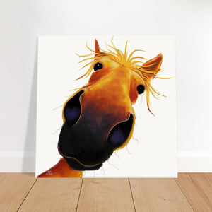 HaPPY HoRSe ‘ GoLDie ‘ - FRoM £7.99