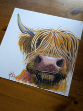 ORiGiNaL HiGHLaND CoW PaiNTiNG ' Willie ‘ by SHiRLeY MacARTHuR