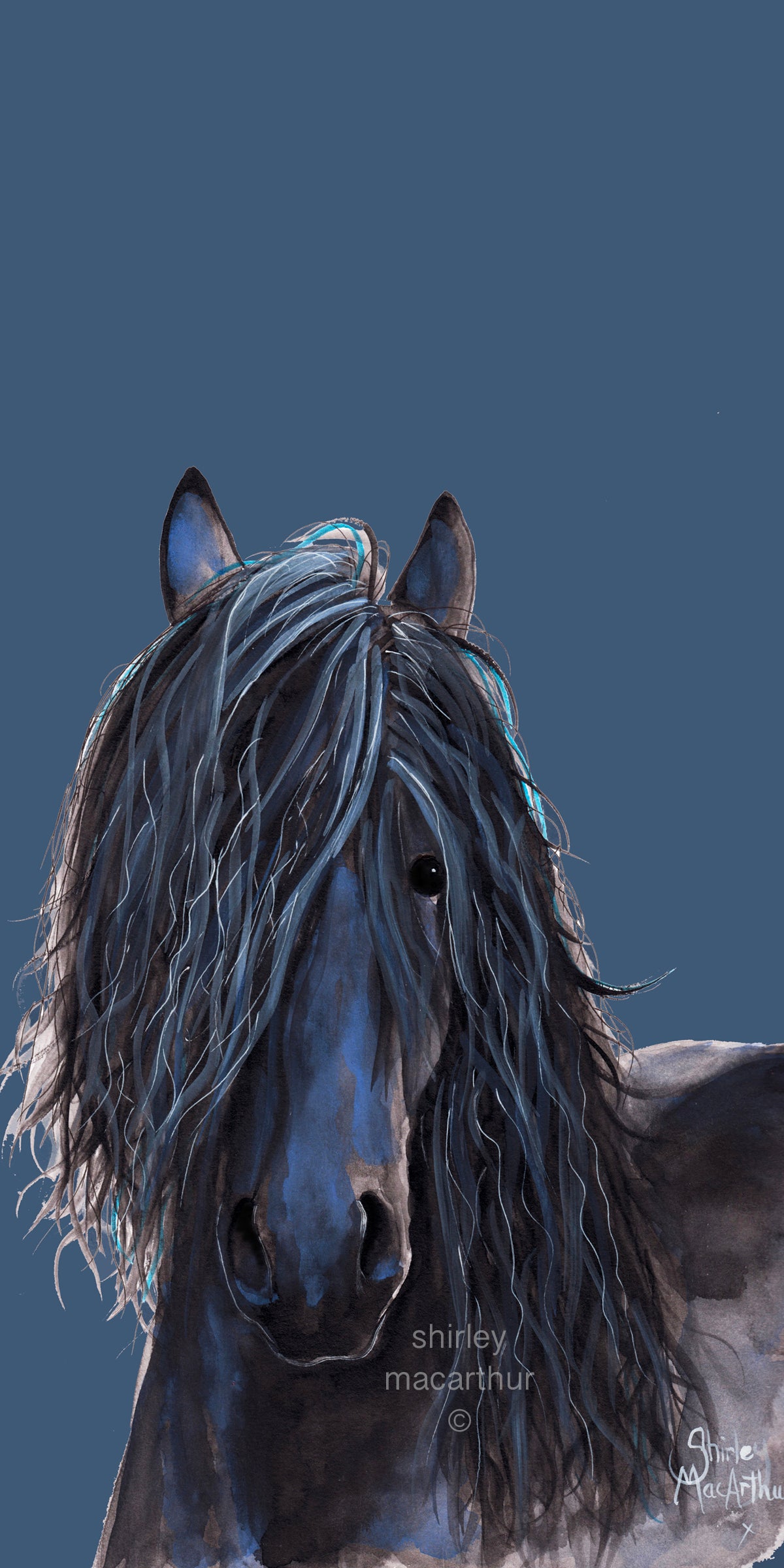 ‘ MiDNiGHT FRieSiaN ‘