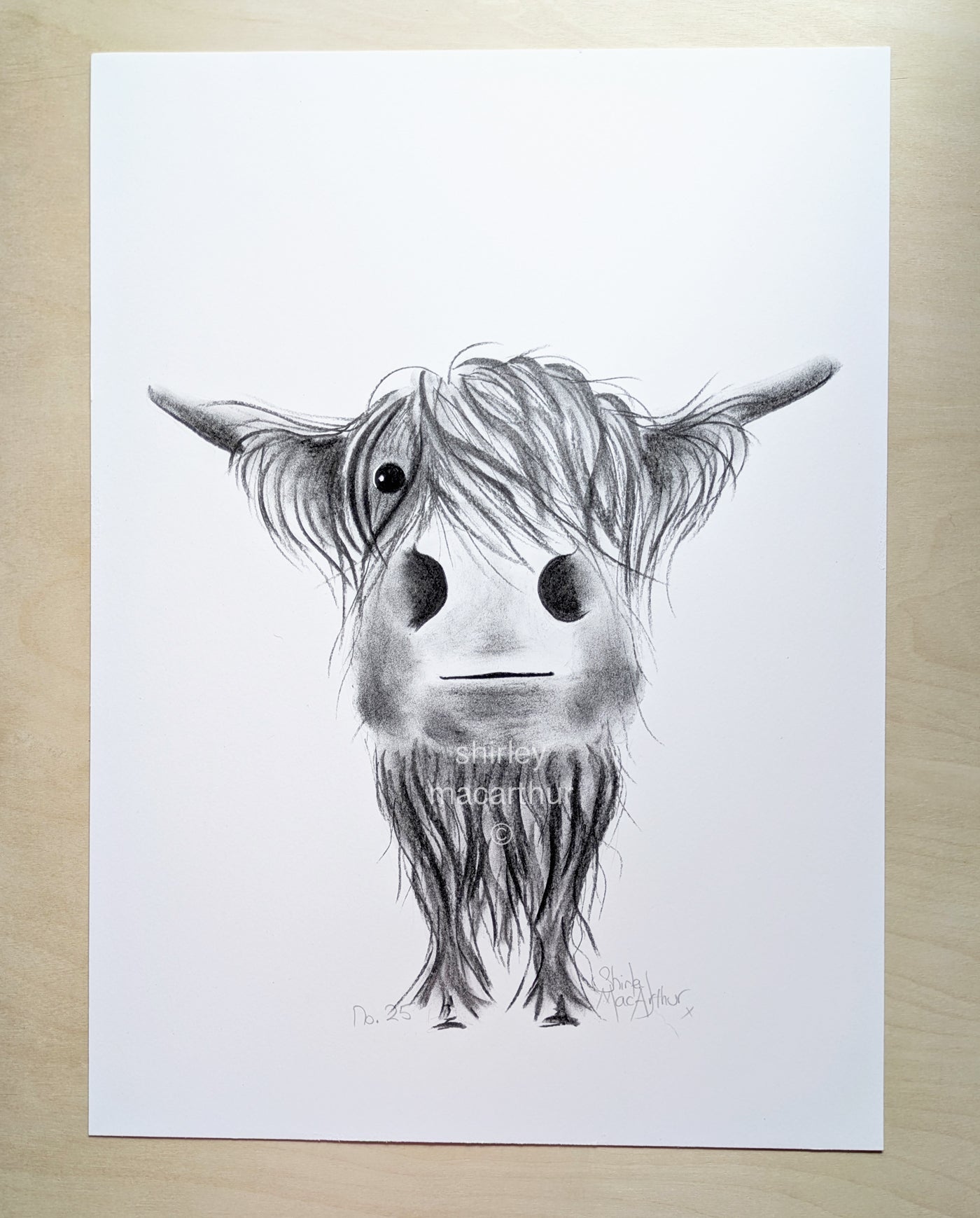 CHaRCoaL ORiGiNaLS!  HiGHLaND CoW PaiNTiNG - No 25