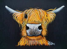 ORiGiNaL HiGHLaND CoW PaSTeL PaiNTiNG ' Joe ‘ by SHiRLeY MacARTHuR