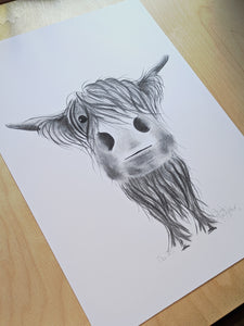 CHaRCoaL ORiGiNaLS!  HiGHLaND CoW PaiNTiNG - No 25
