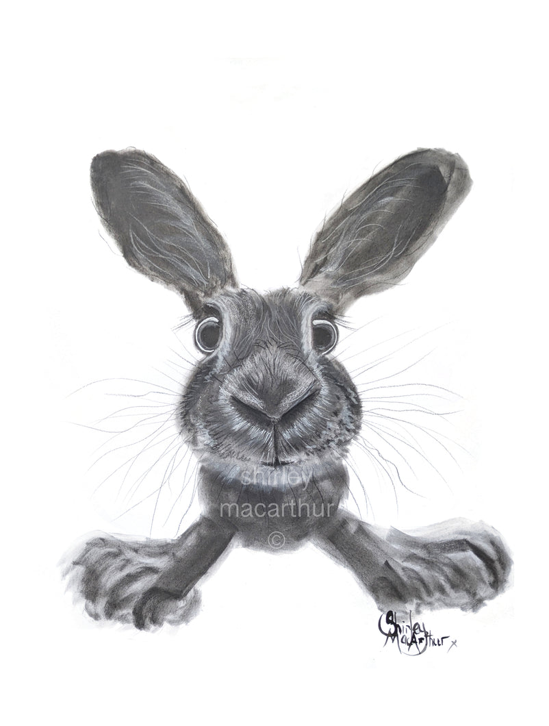ORiGiNaL HaPPY HaRe PaSTeL PaiNTiNG ' ReaDy SeT Go! ‘ by SHiRLeY MacARTHuR