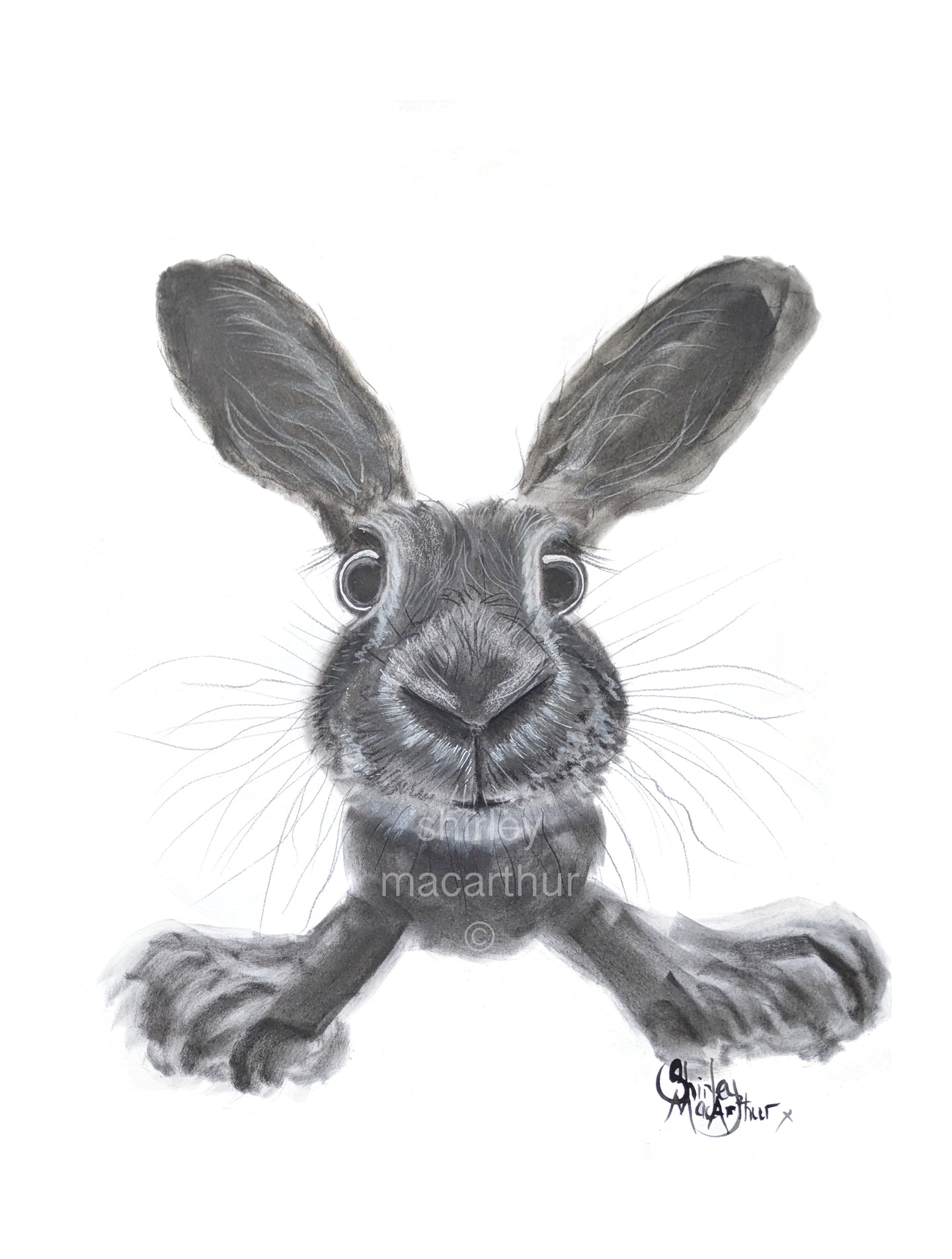 ORiGiNaL HaPPY HaRe PaSTeL PaiNTiNG ' ReaDy SeT Go! ‘ by SHiRLeY MacARTHuR