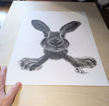ORiGiNaL HaPPY HaRe PaSTeL PaiNTiNG ' ReaDy SeT Go! ‘ by SHiRLeY MacARTHuR