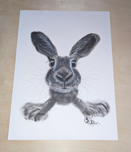 ORiGiNaL HaPPY HaRe PaSTeL PaiNTiNG ' ReaDy SeT Go! ‘ by SHiRLeY MacARTHuR