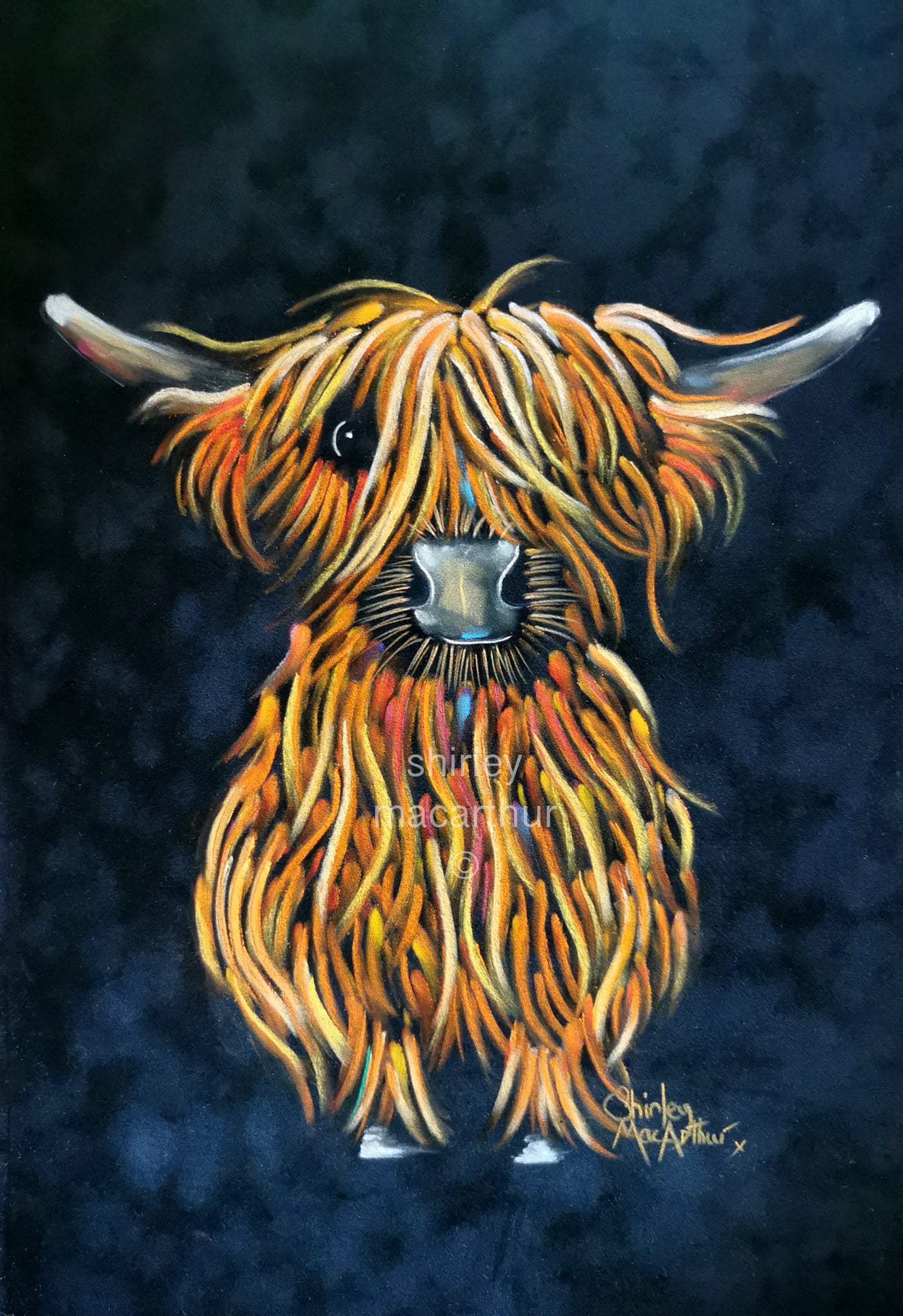 ORiGiNaL HiGHLaND CoW PaSTeL PaiNTiNG ' RoDDY ‘