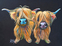 ORiGiNaL HiGHLaND CoWS WaTeRCoLouR PaiNTiNG ' Saturday & Sunday ‘ by SHiRLeY MacARTHuR