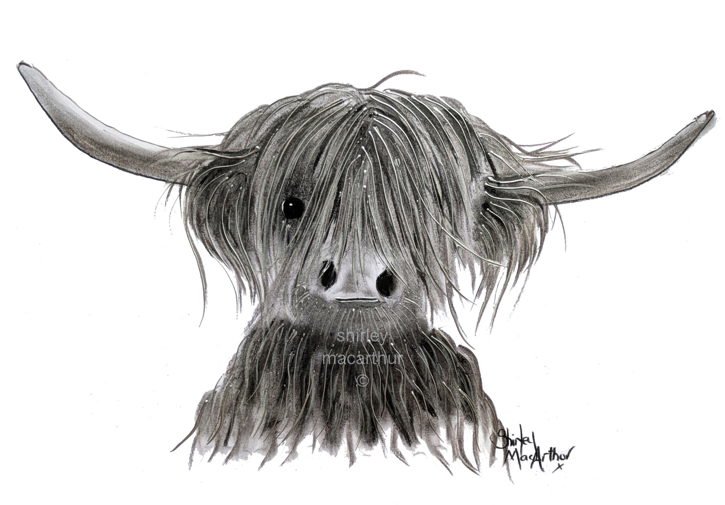 CHaRCoaL ORiGiNaLS!  HiGHLaND CoW PaiNTiNG - No 28