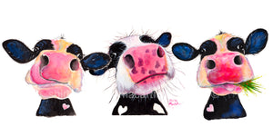 ' THe NoSeY CoWS '  FRoM £42