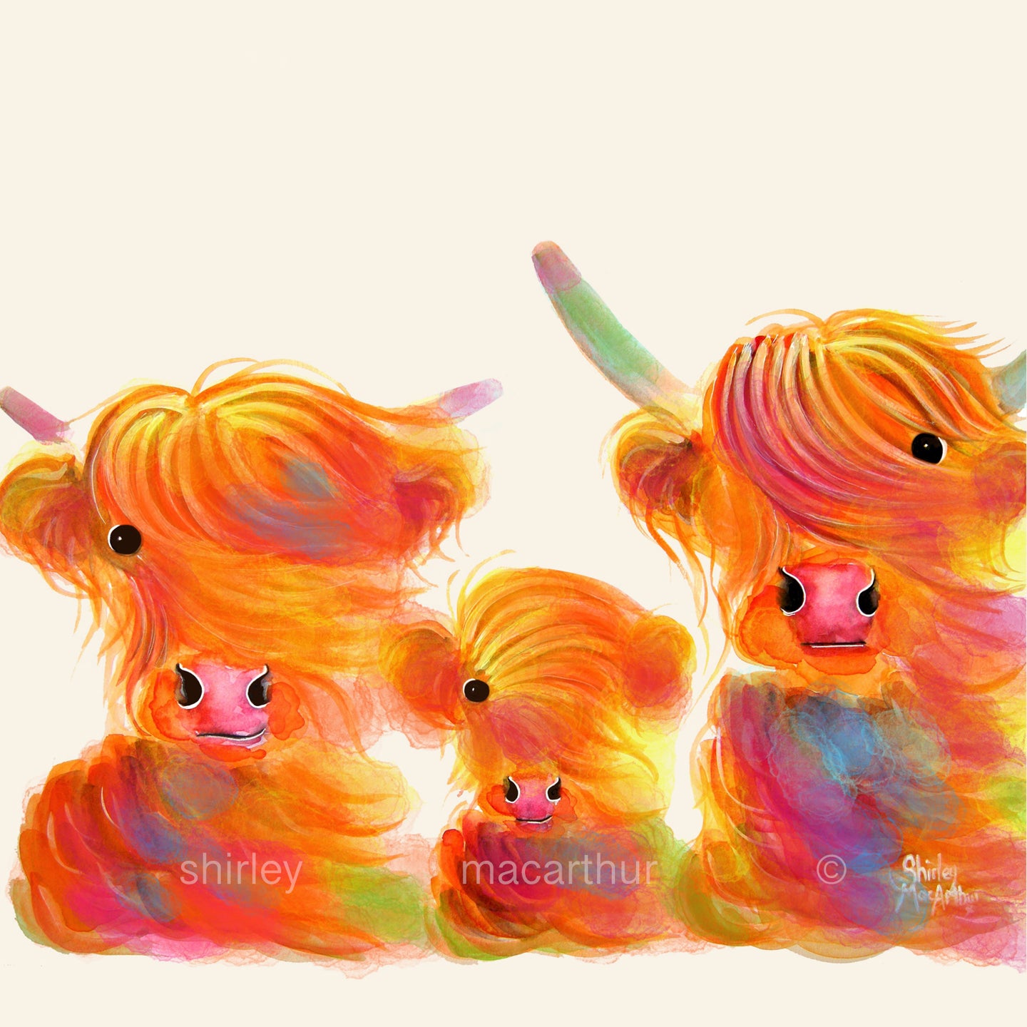 THe WiNDY CooS in CoLouR - From £7.99