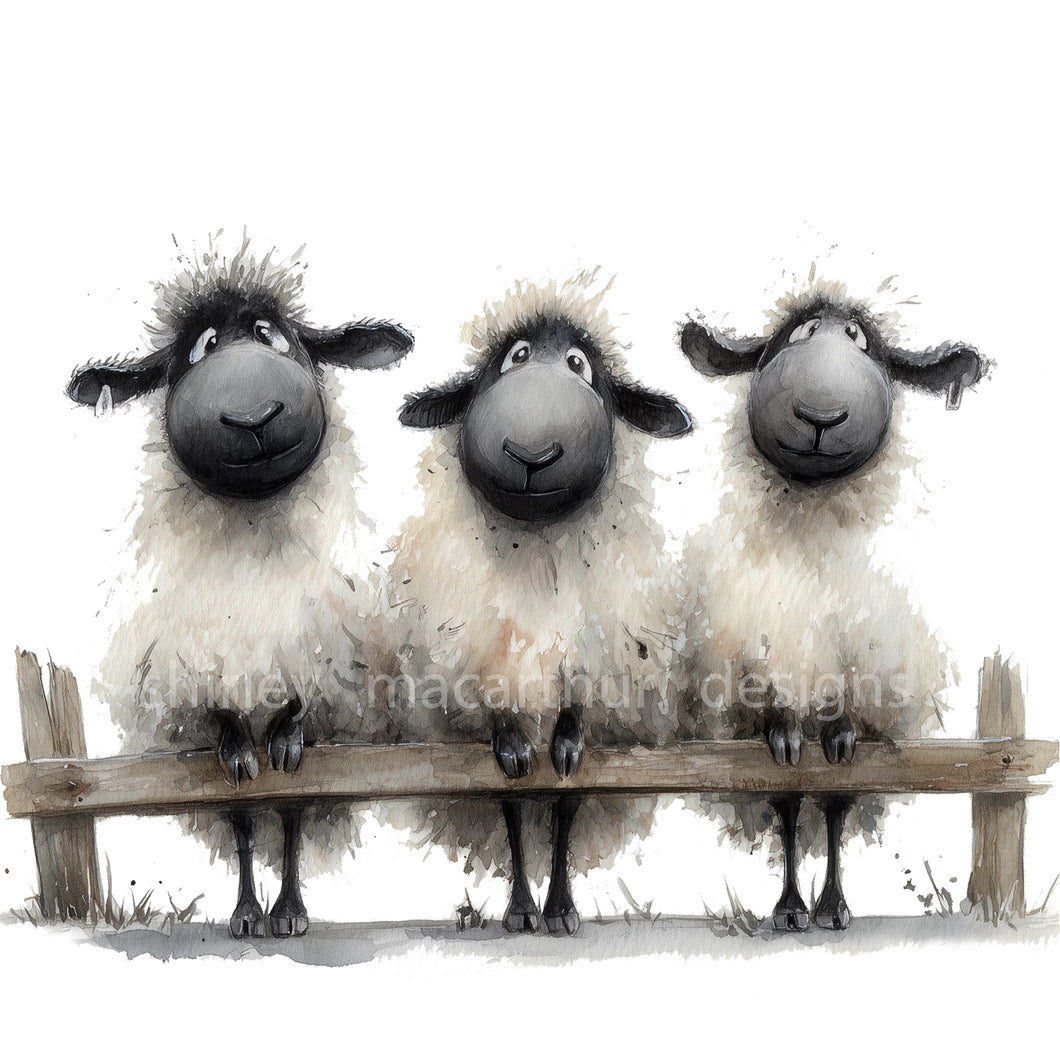 We 3 Gorgeous Sheep