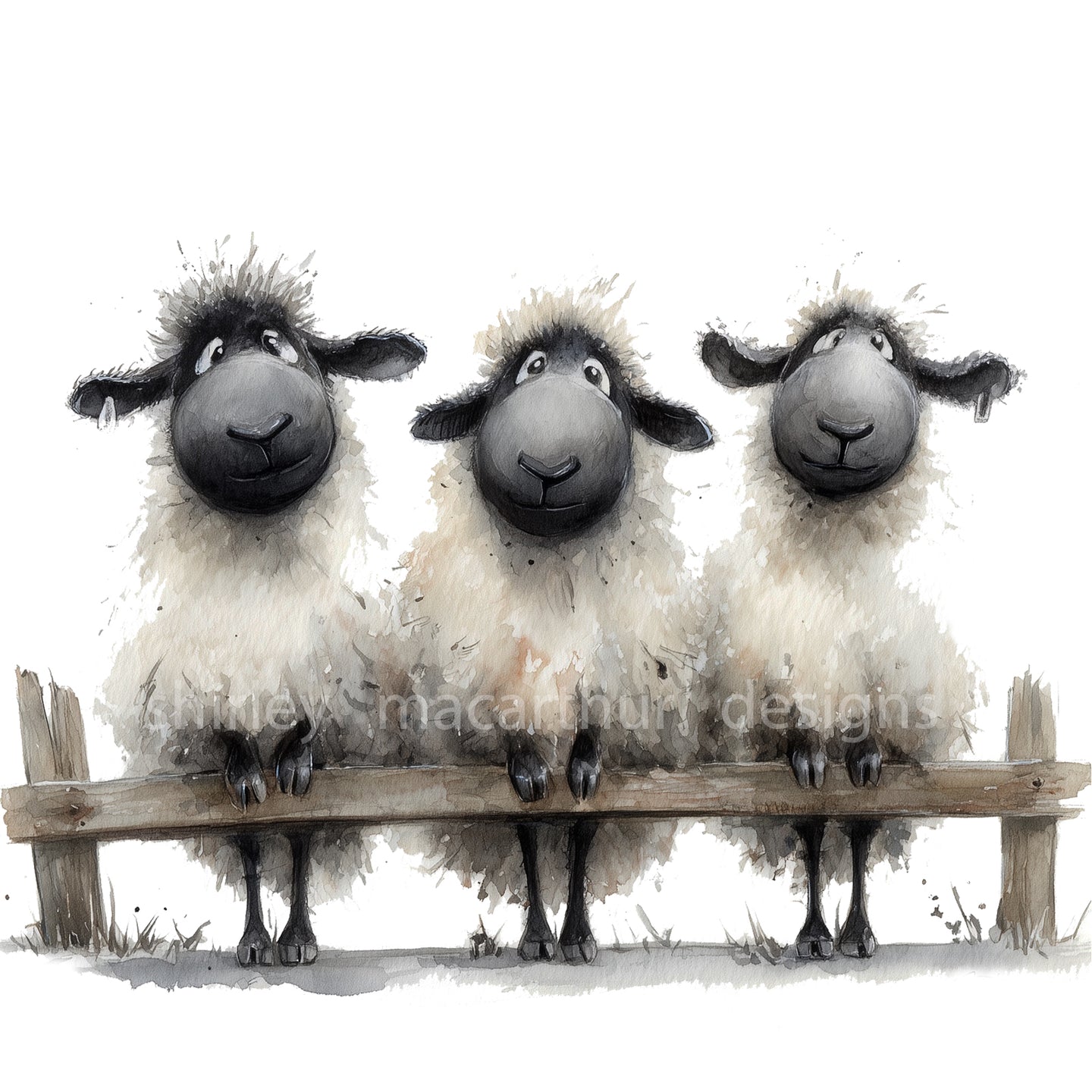 We 3 Gorgeous Sheep