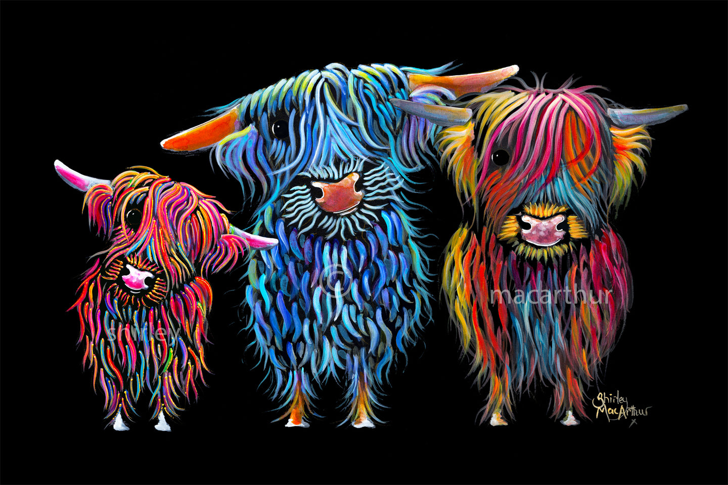 ‘ THe 3 HaiRY CooS ’ Highland Cow Prints  FRoM £8.99