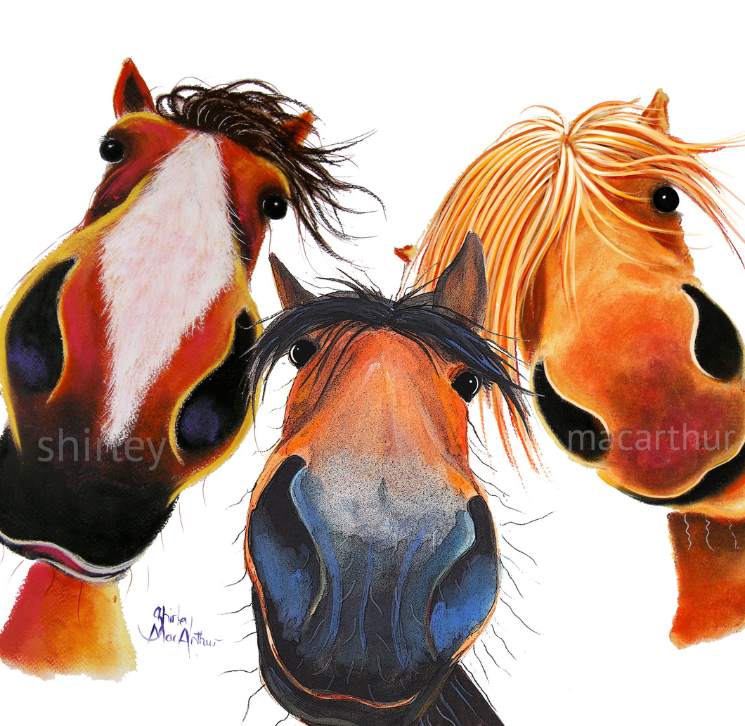 HaPPY HoRSe GReeTiNGS CaRD ‘ WHo LeFT THe GaTe OPeN 2 ? ‘