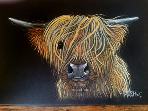 ORiGiNaL HiGHLaND CoW PaSTeL PaiNTiNG ' WiLBuR ‘ by SHiRLeY MacARTHuR