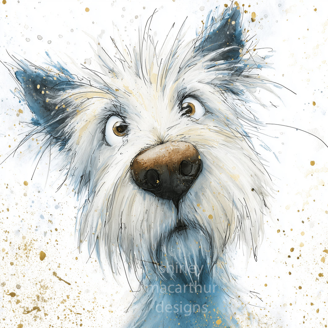 ‘ William the Westie ‘