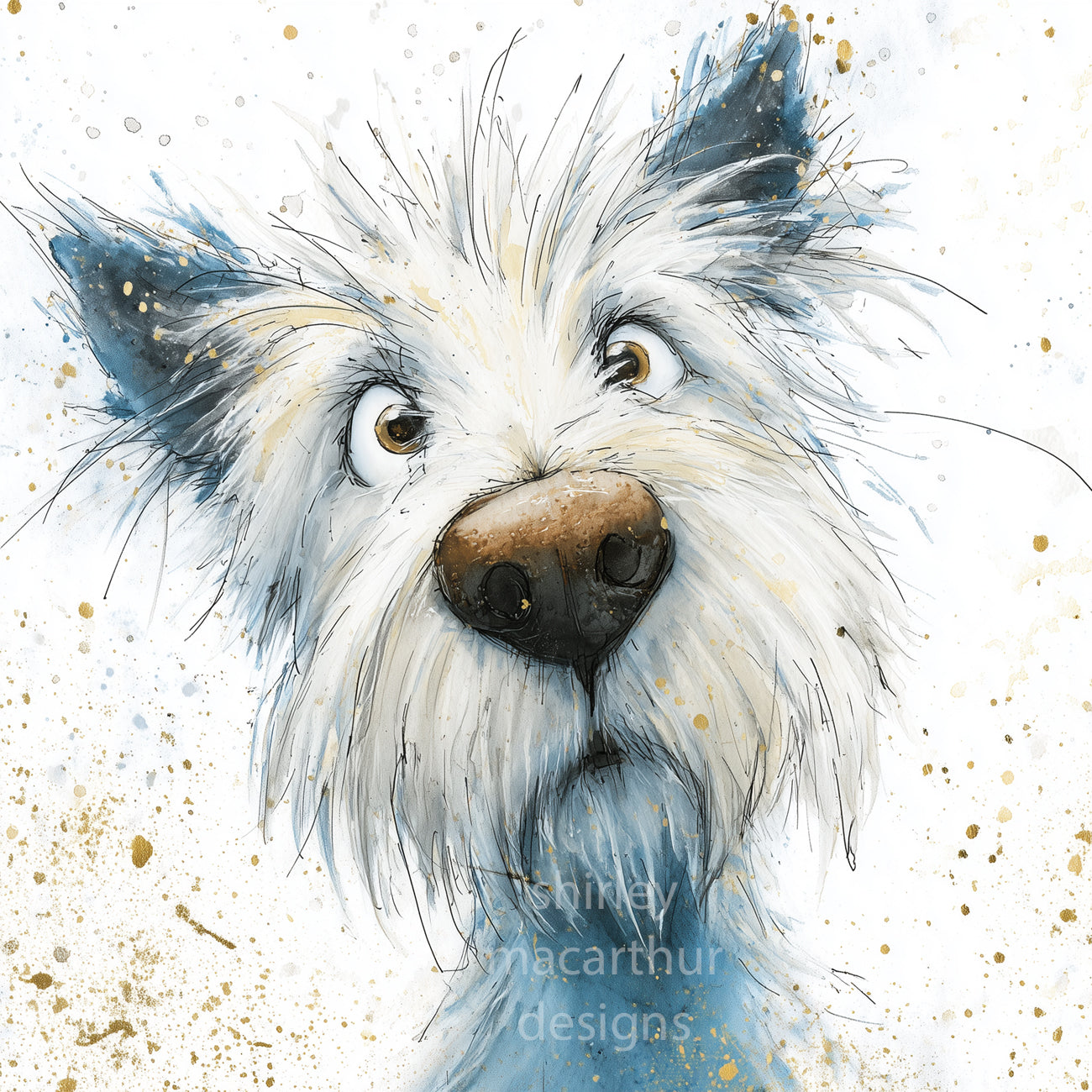 ‘ William the Westie ‘