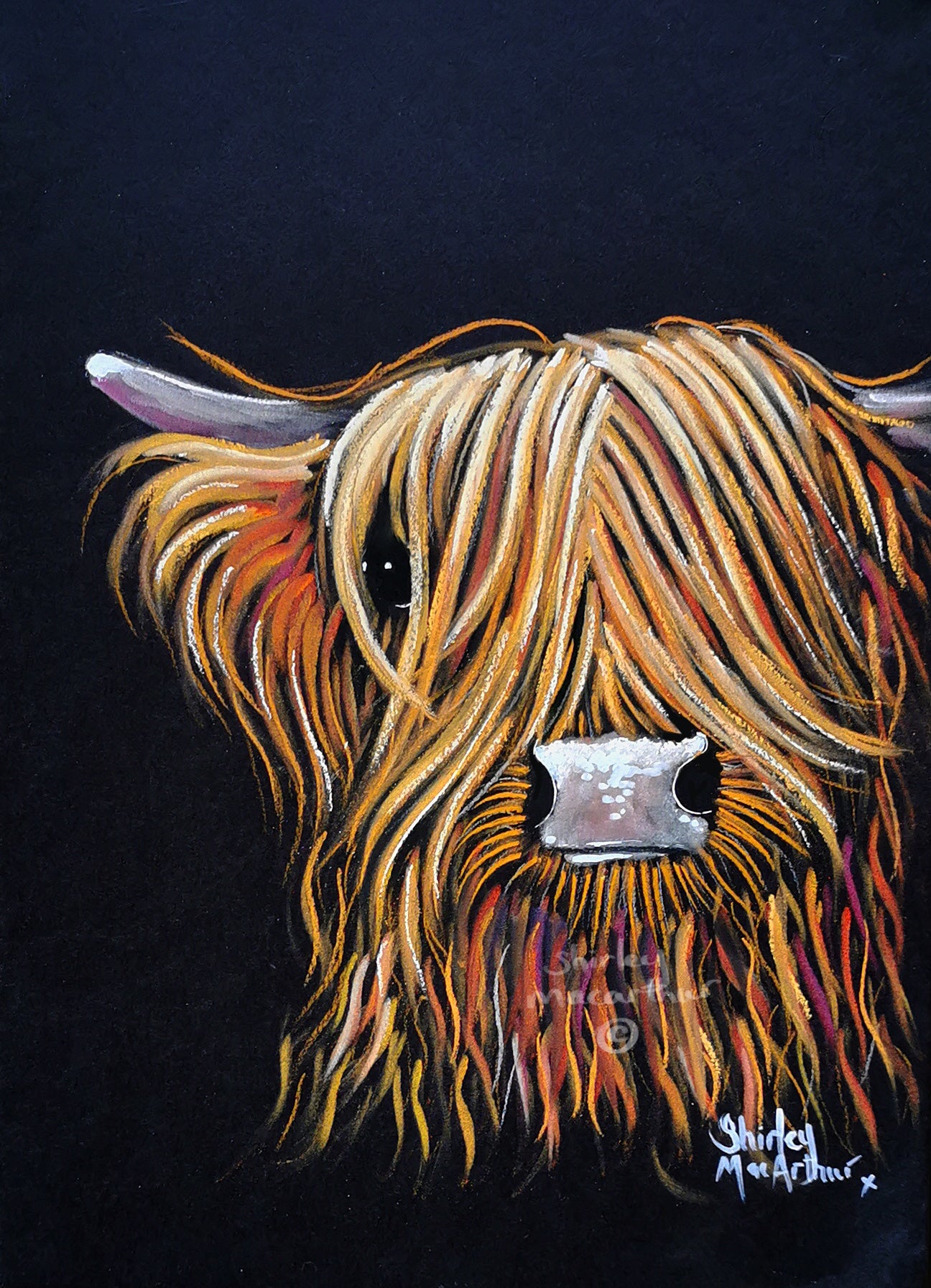 ORiGiNaL HiGHLaND CoW PaSTeL PaiNTiNG ' Bo ‘ by SHiRLeY MacARTHuR