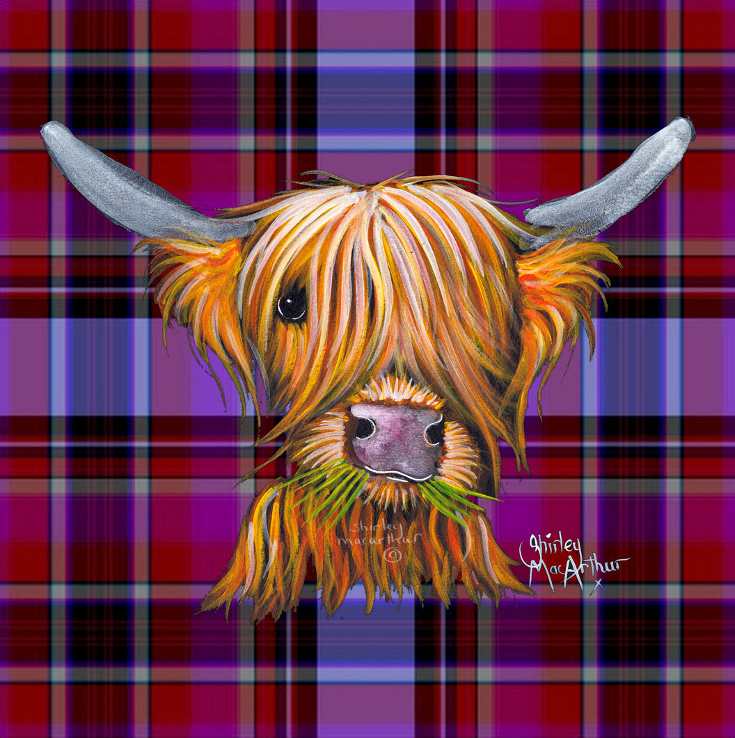 LiTTLe ViKiNG oN TaRTaN P - FRoM £7.99