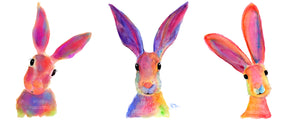 ‘ THe HaPPY HaReS ‘ FRoM £38.50