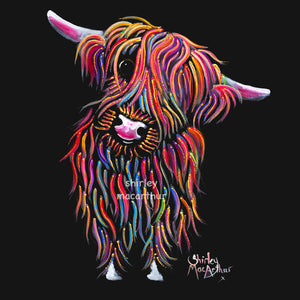 Highland Cow Prints 'Bolly' by Shirley MacArthur