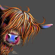 Highland Cow Prints 'Sugar Lump' by Shirley MacArthur
