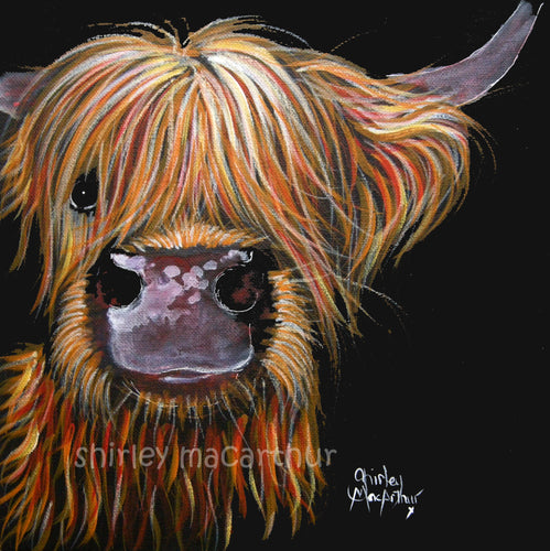 Highland Cow Prints 'Henry' by Shirley MacArthur