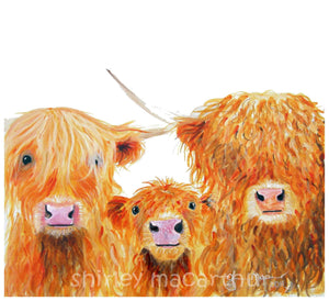 Highland Cow Prints 'We 3 Coos' by Shirley MacArthur