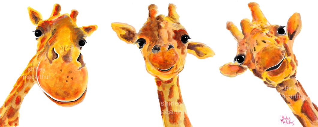 ‘ We 3 GiRaFFeS ‘