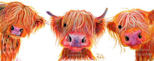 Highland Cow Prints 'The Oranges'  by Shirley MacArthur