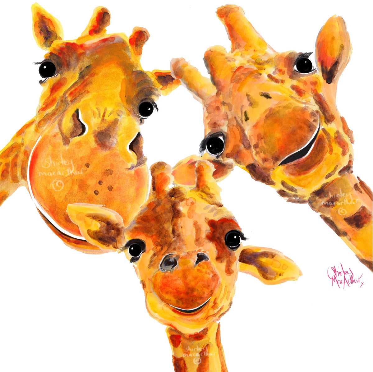 THe GiRaFFe FaMiLY ‘ GiRaFFe PaiNTiNGS & PRiNTS BY SHiRLeY MacARTHuR