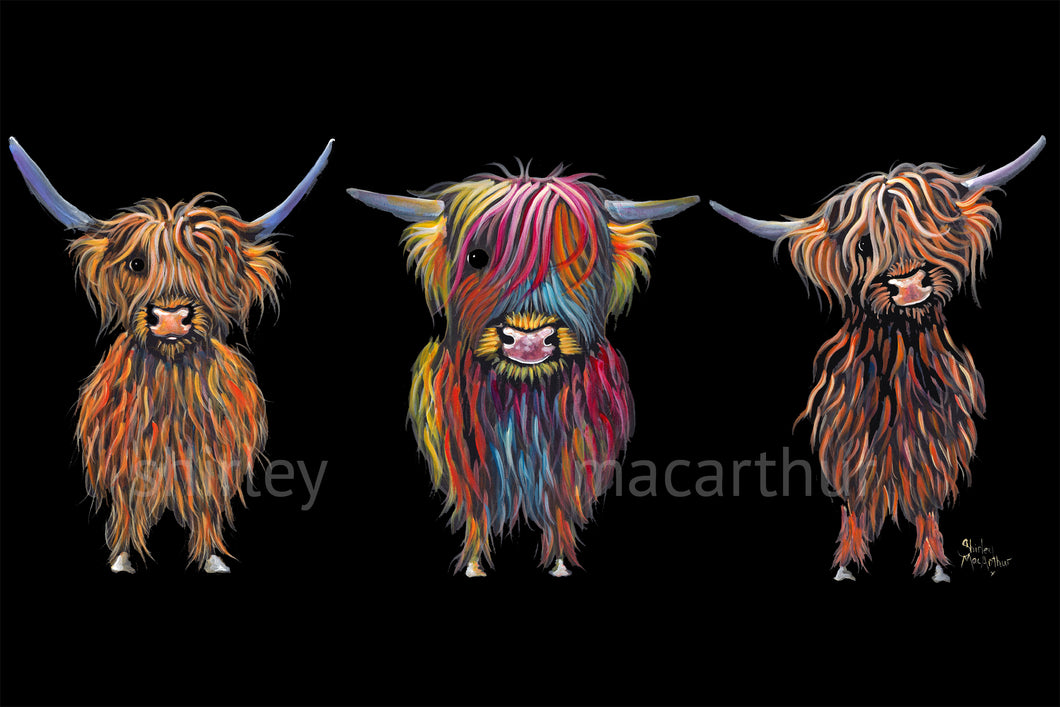 ' ALL THRee '  HiGHLaND CoW ART PRiNT 30 x 20 iNCH