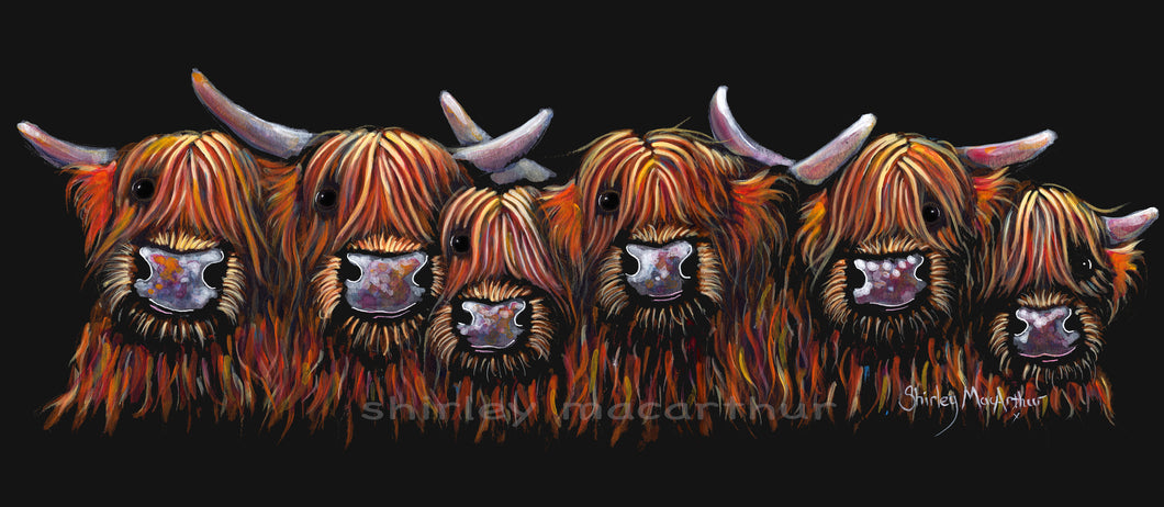 ALL IN A RoW !  HiGHLaND CoW PRiNT, WaLL ART - BY SHiRLeY MacARTHuR