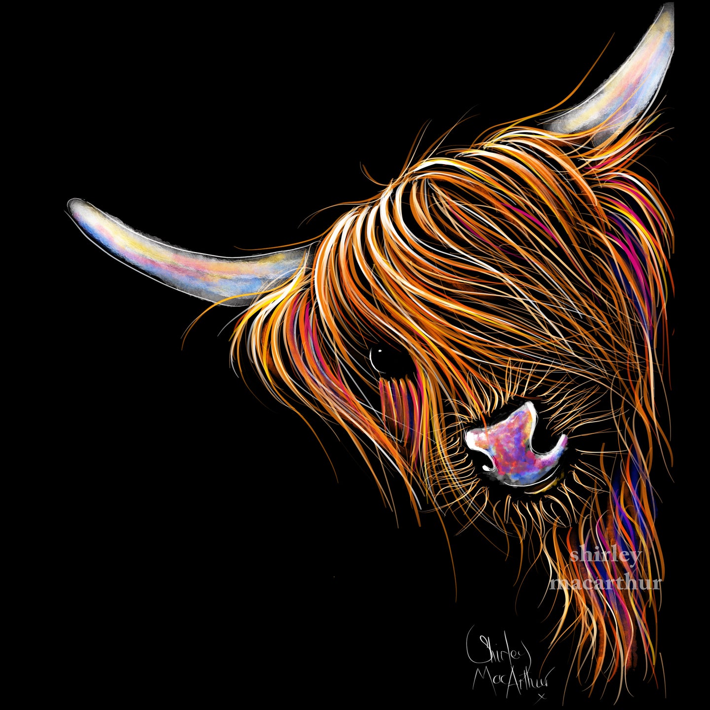 Highland Cow Prints ‘Noodles’ by Shirley MacArthur 
