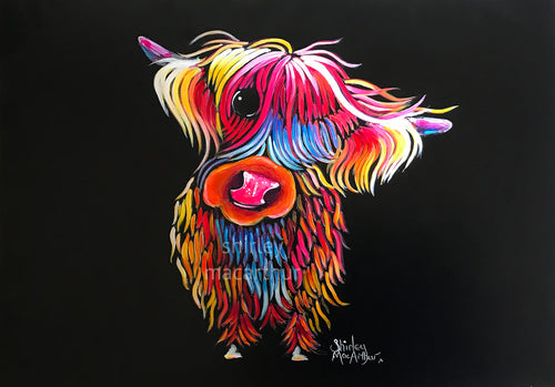 ORiGiNaL HiGHLaND CoW PaiNTiNG ' BLooM '